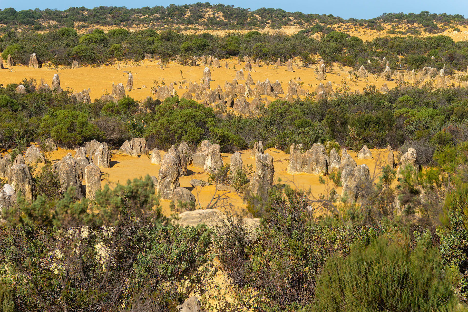 The Pinnacles Desert